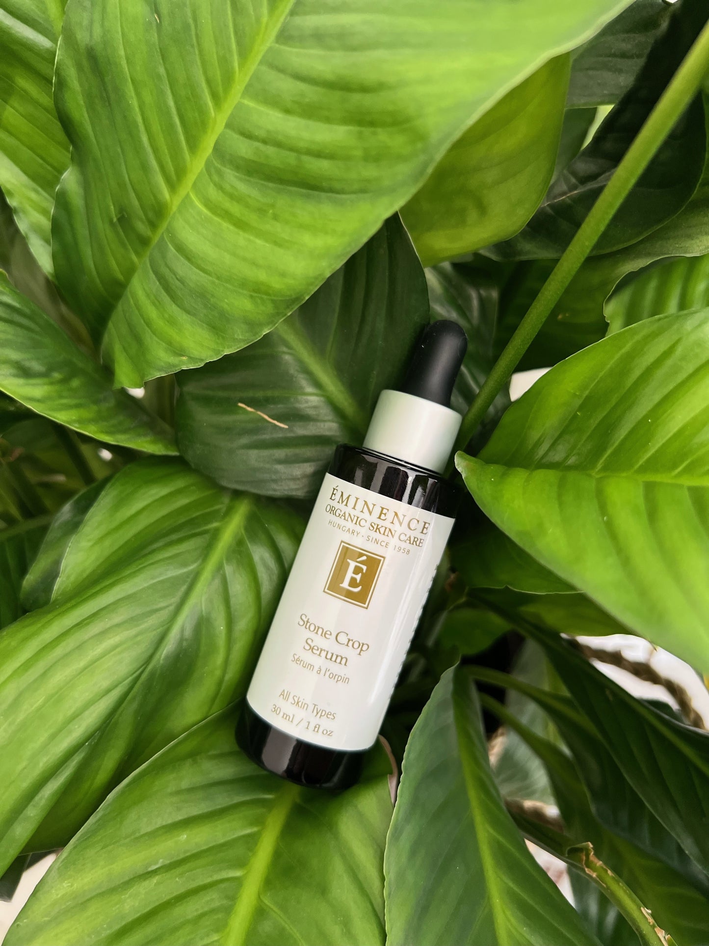 Eminence Stone Crop Serum